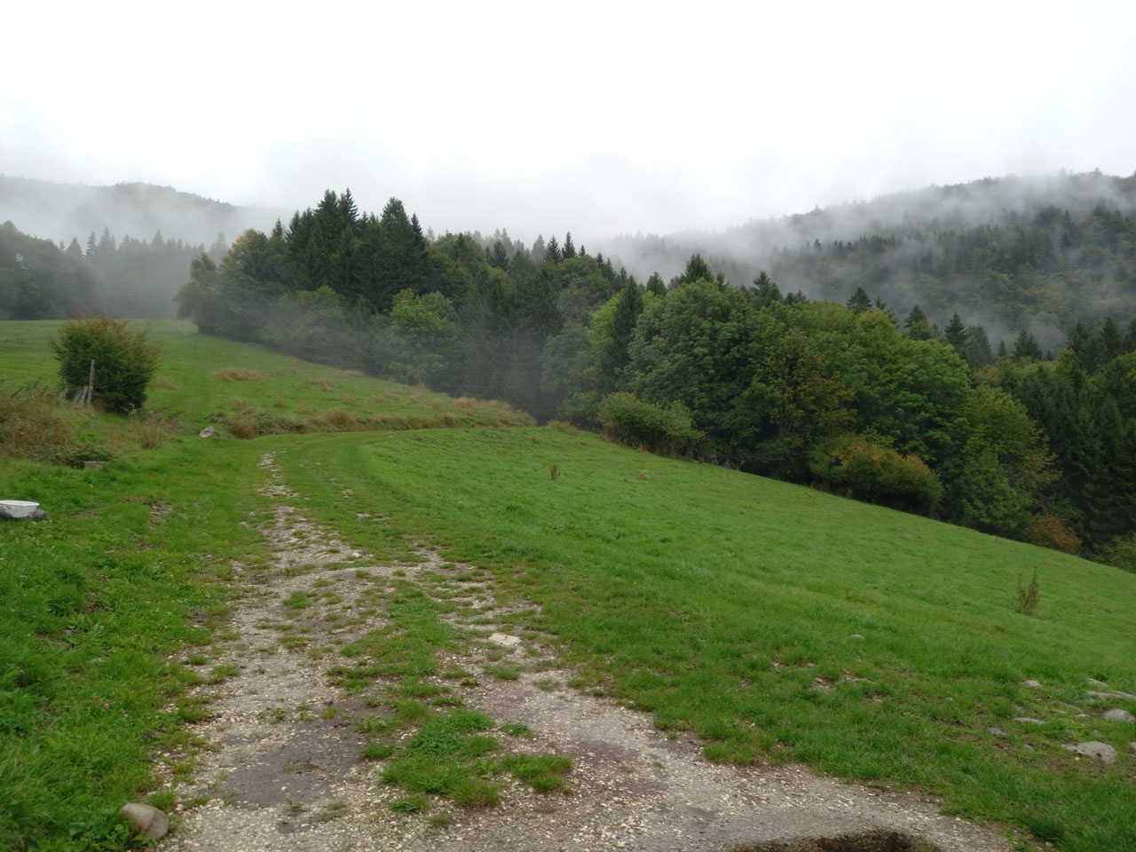 Photo de Vasseur(10)