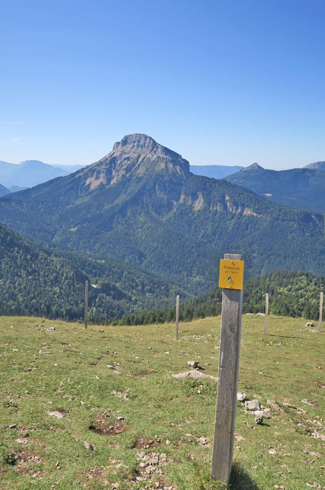 Photo de Vasseur(12)