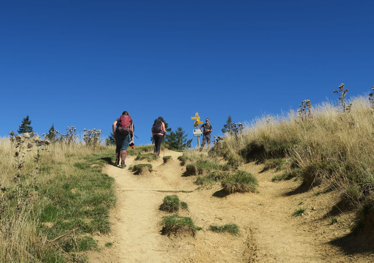 Photo de Vasseur(14)