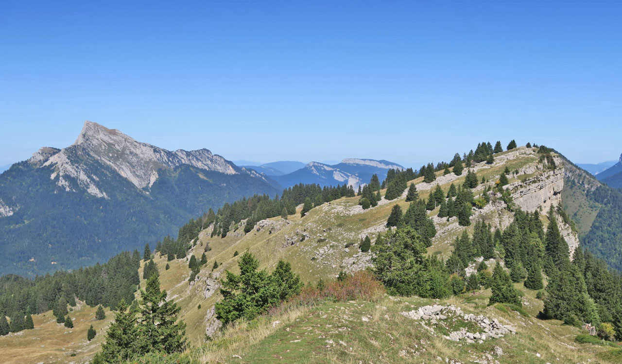 Photo de Vasseur(15)