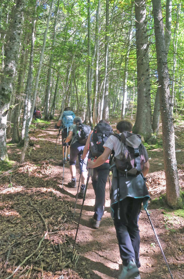 Photo de Vasseur(16)