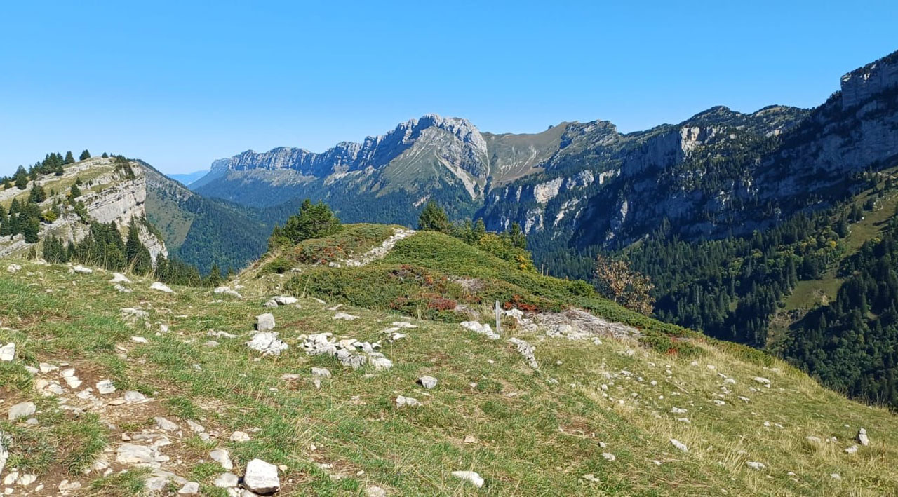 Photo de Vasseur(17)