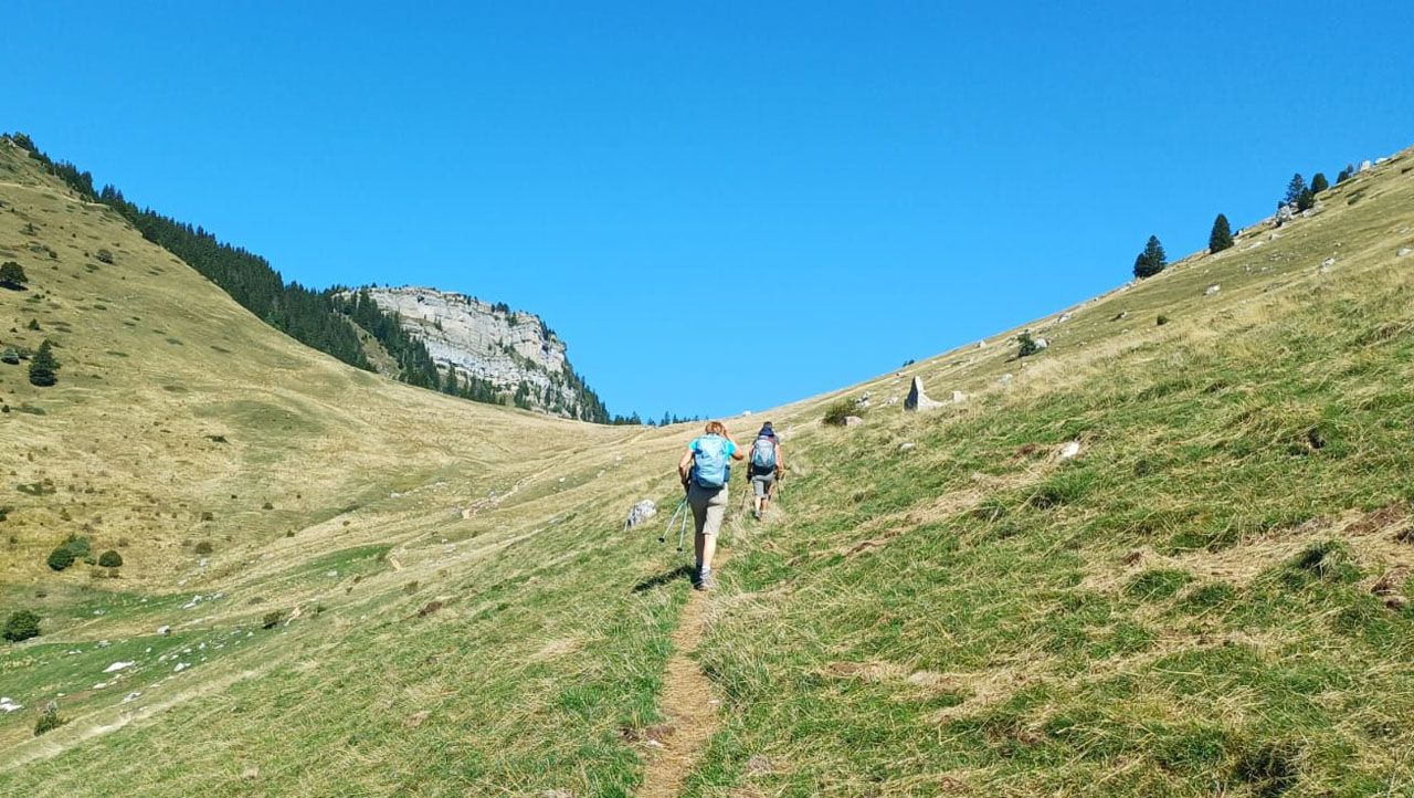 Photo de Vasseur(18)