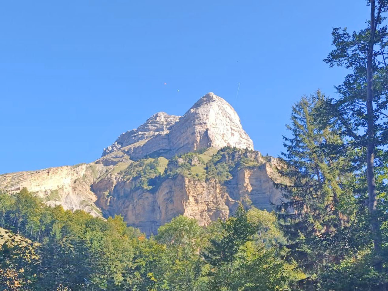 Photo de Vasseur(19)