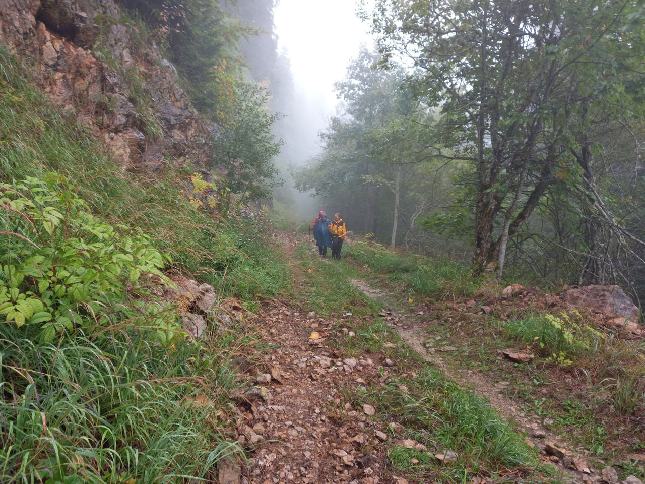Photo de Vasseur(6)