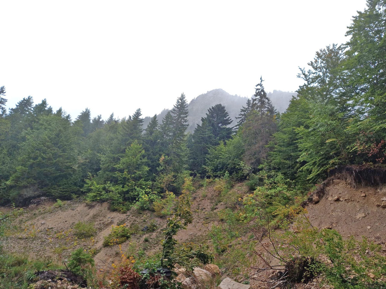 Photo de Vasseur(8)