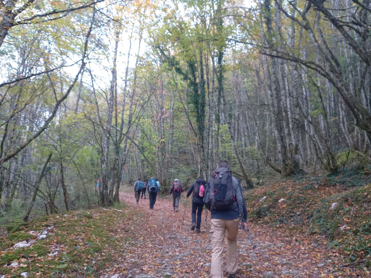 Belle couleurs d_automne