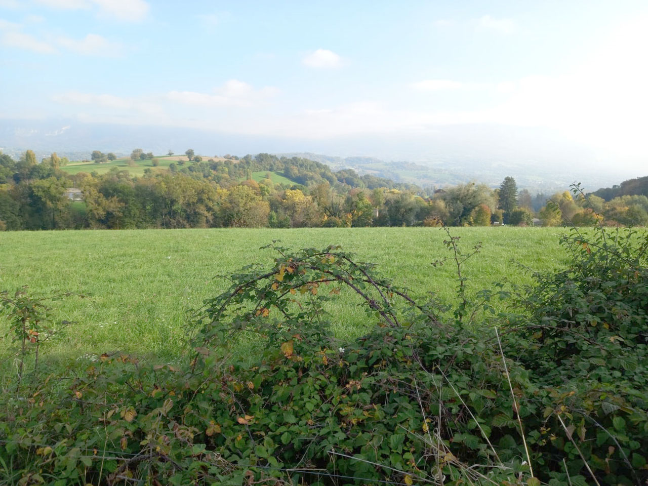 Joli soleil d_automne_