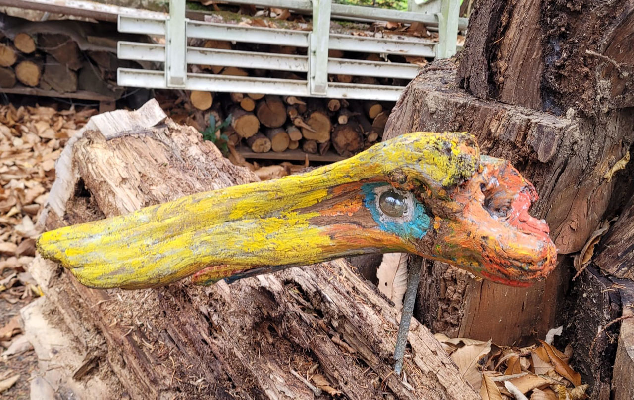 Photo de Vasseur(10)