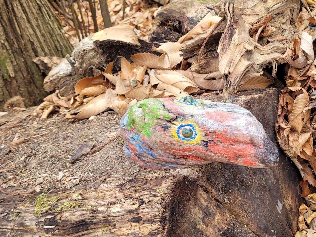 Photo de Vasseur(11)