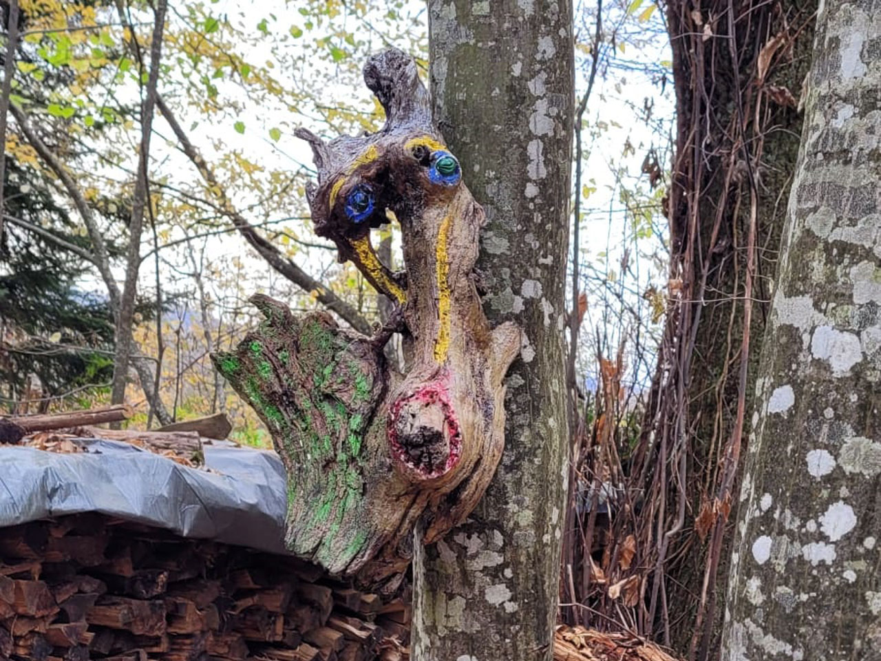 Photo de Vasseur(13)