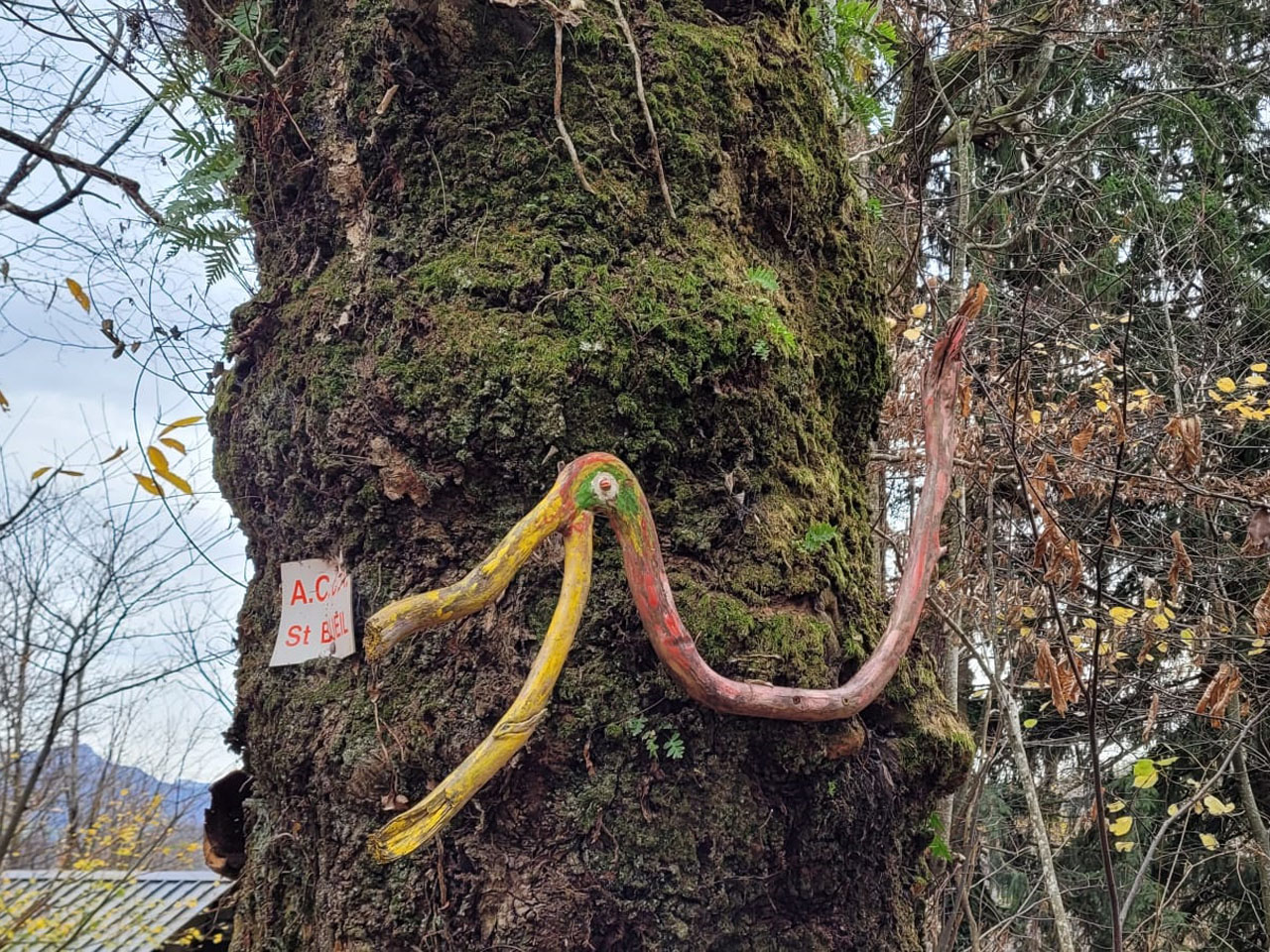 Photo de Vasseur(14)