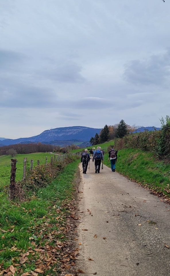 Photo de Vasseur(15)