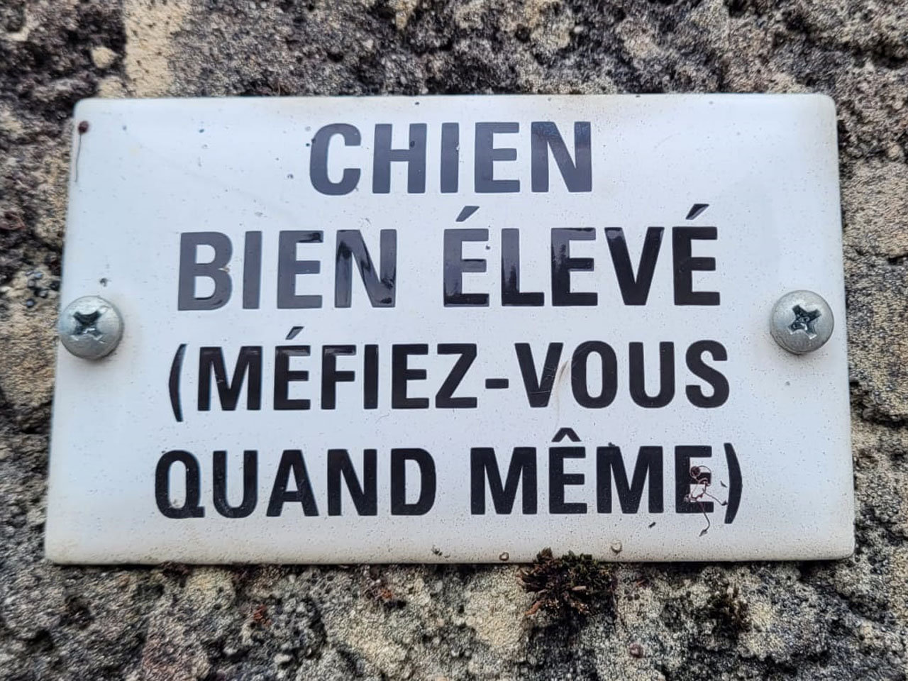 Photo de Vasseur(16)