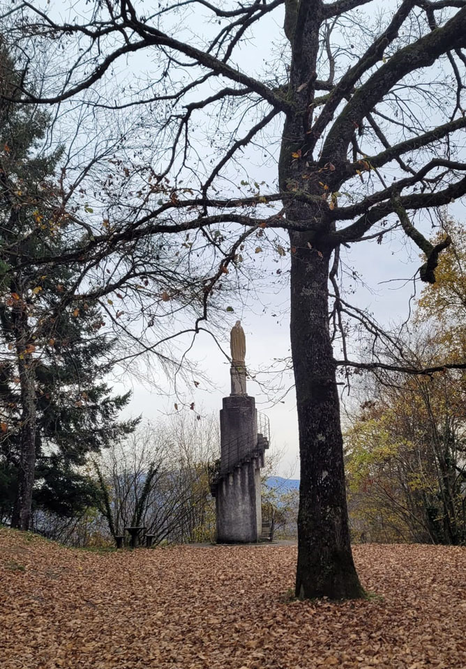 Photo de Vasseur(20)