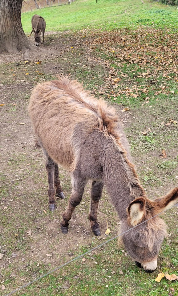 Photo de Vasseur(21)