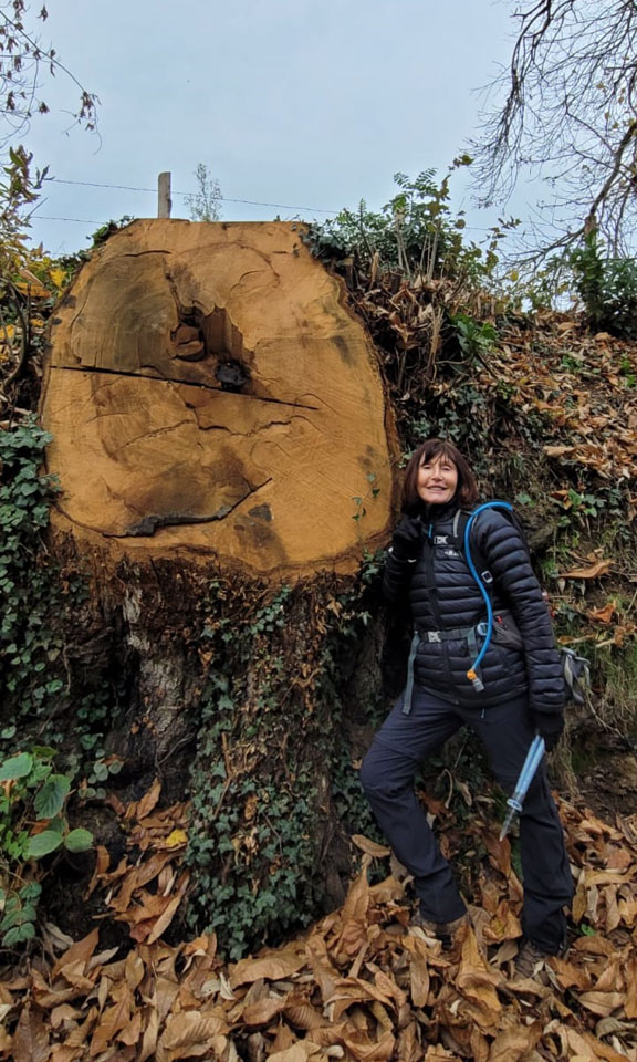 Photo de Vasseur(30)