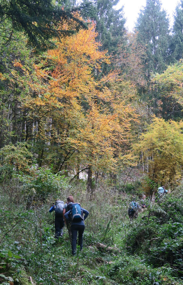Un peu de hors piste maîtrisé