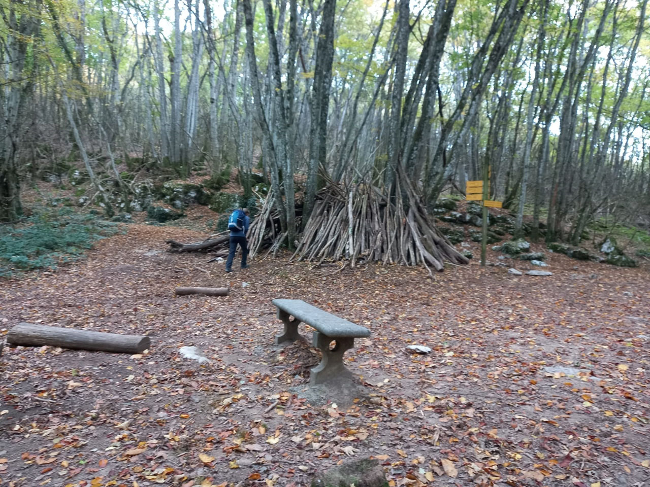 Vestiges d_un camp indien