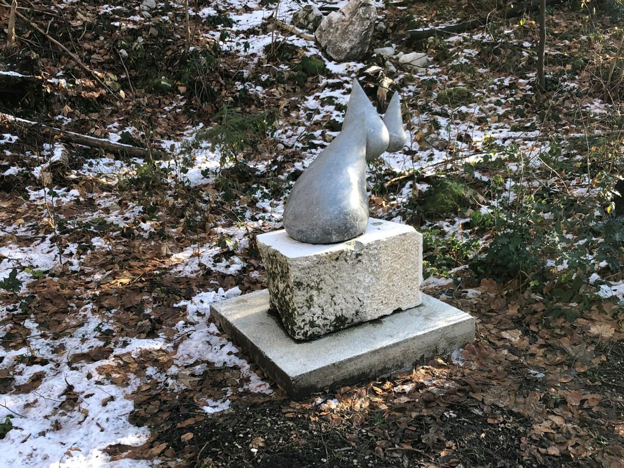 Photo de Vasseur(12)