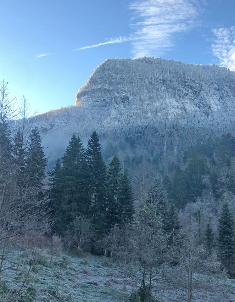 Photo de Vasseur(13)