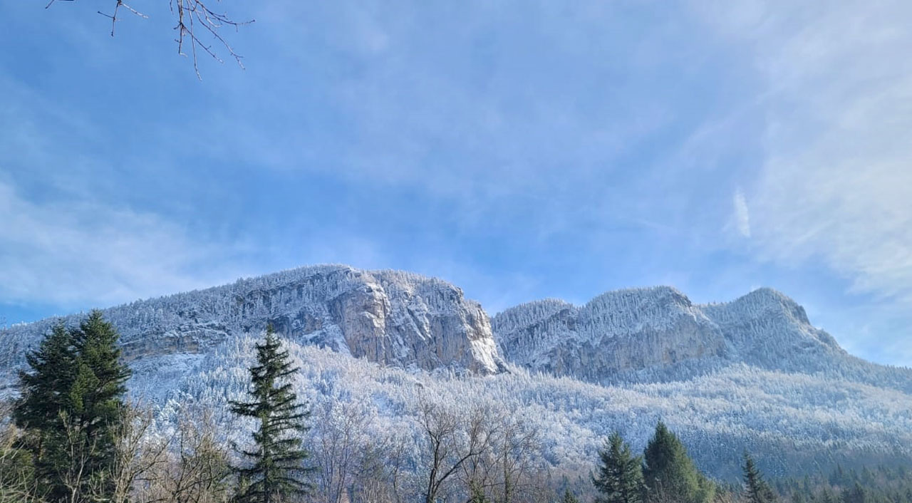 Photo de Vasseur(14)