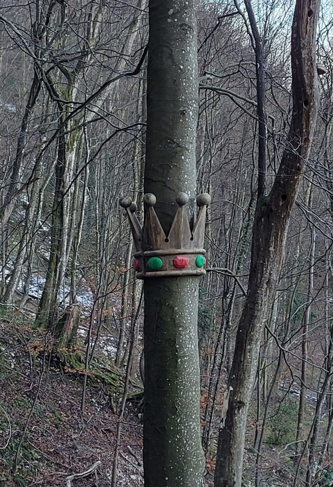 Photo de Vasseur(15)