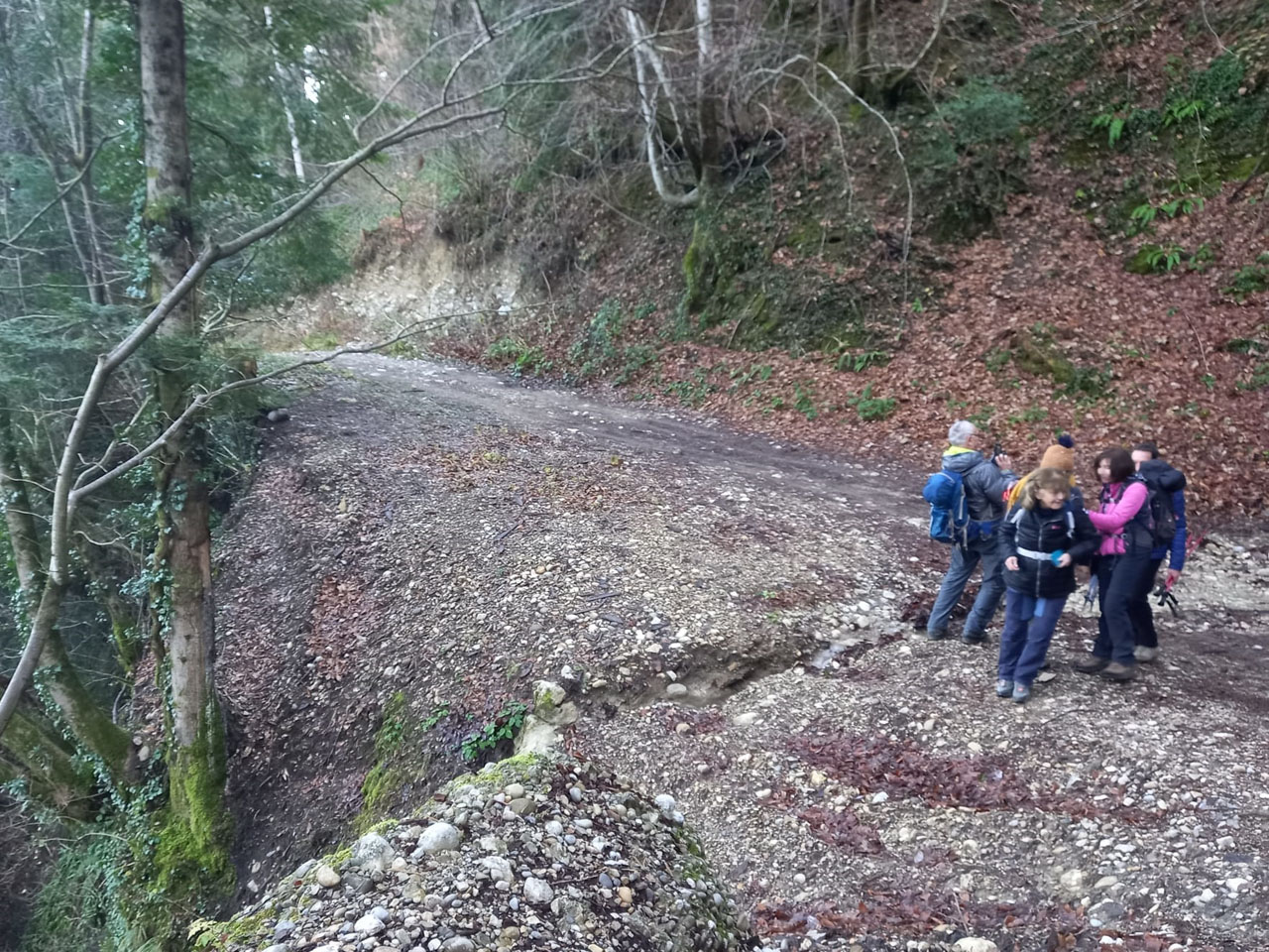 Photo de Vasseur(16)