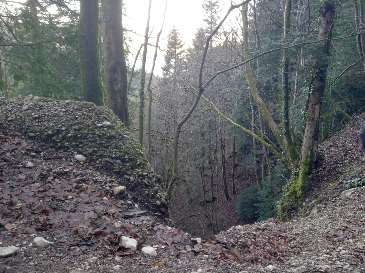 Photo de Vasseur(17)