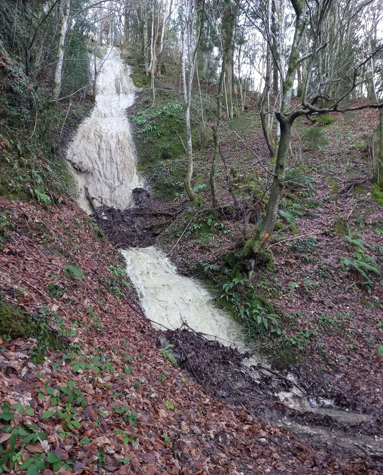 Photo de Vasseur(18)