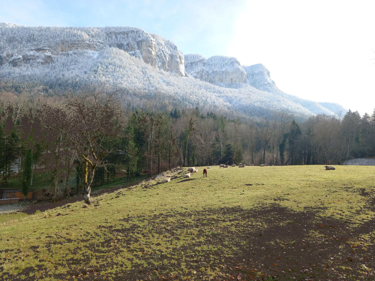 Photo de Vasseur(19)