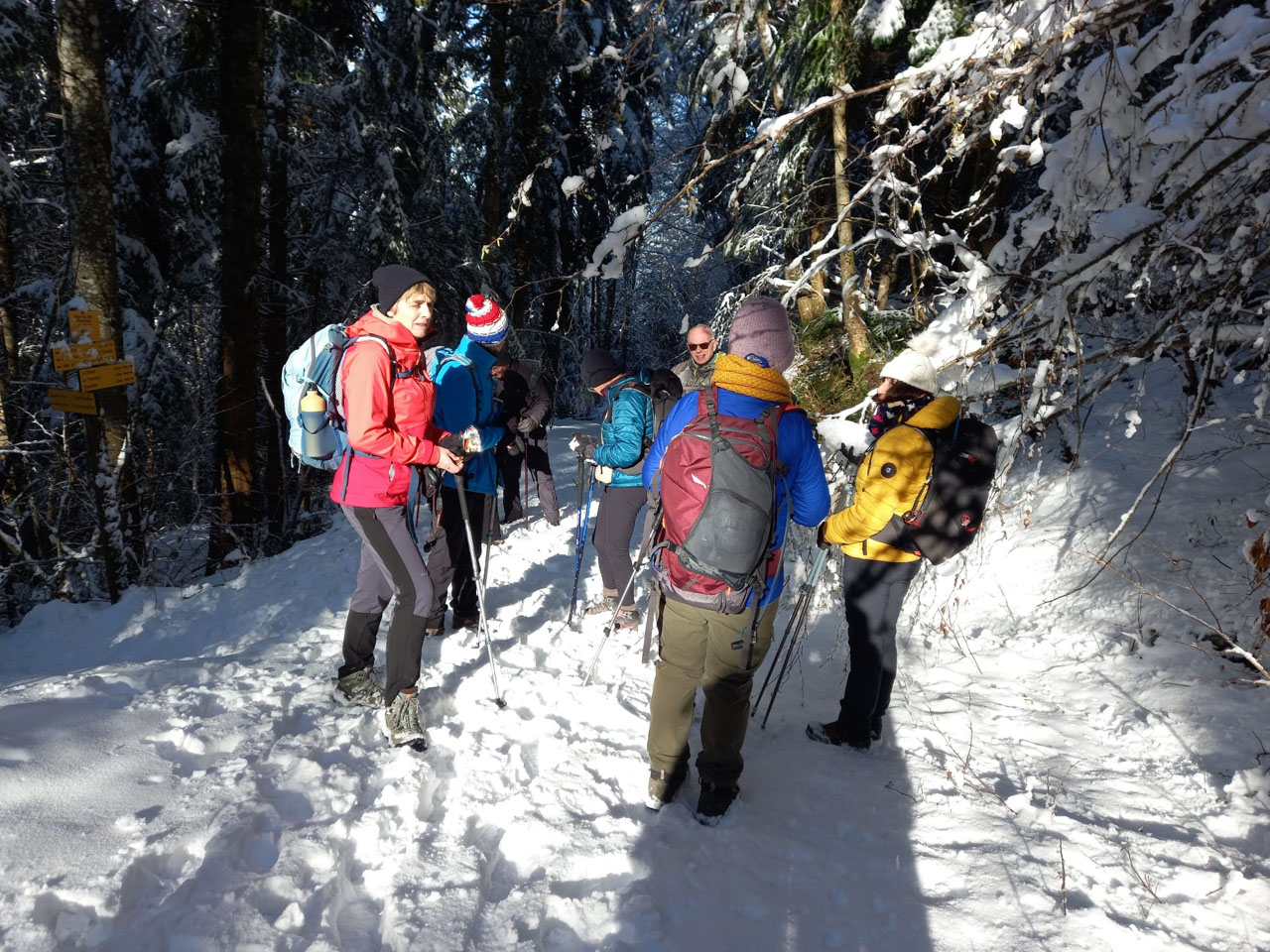 Photo de Vasseur(22)