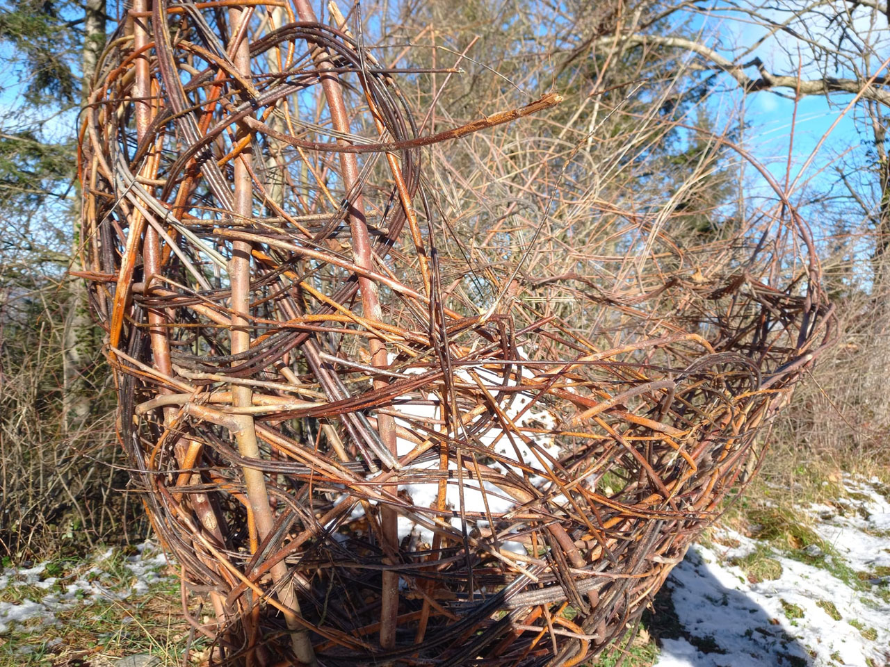 Photo de Vasseur(24)