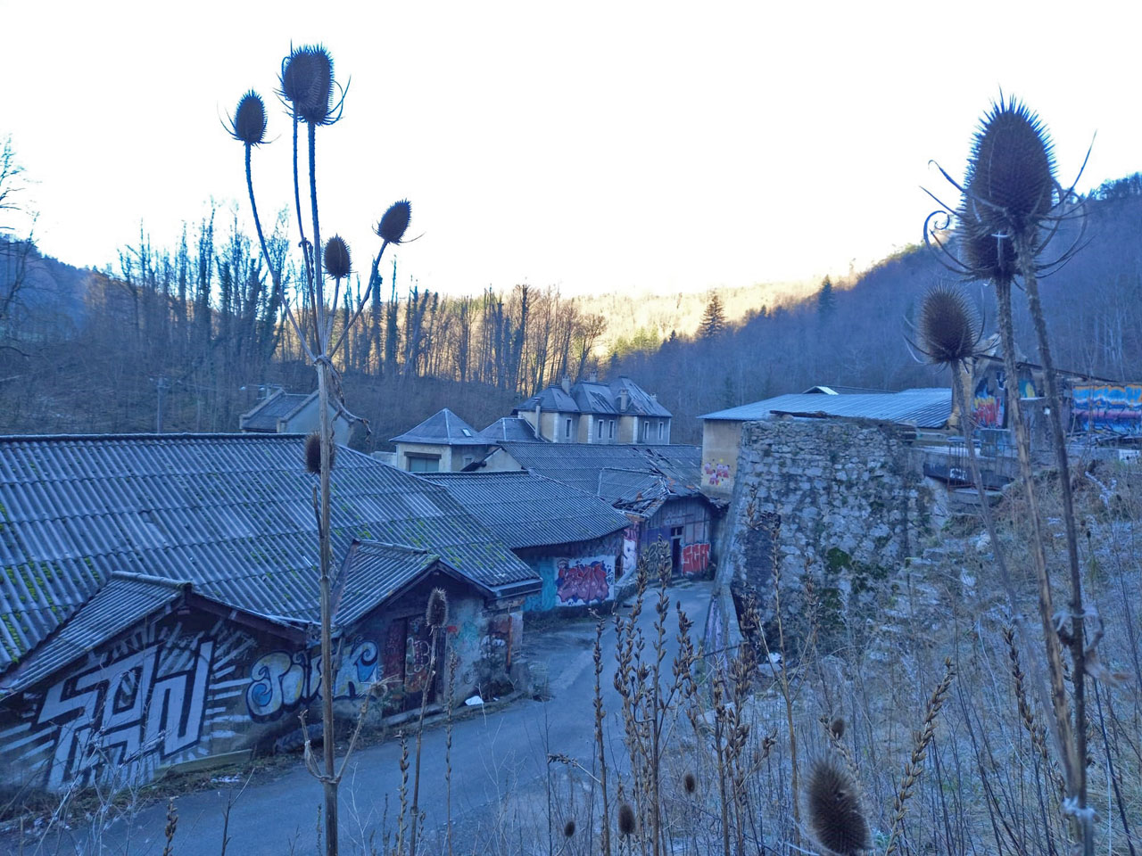 Photo de Vasseur(25)