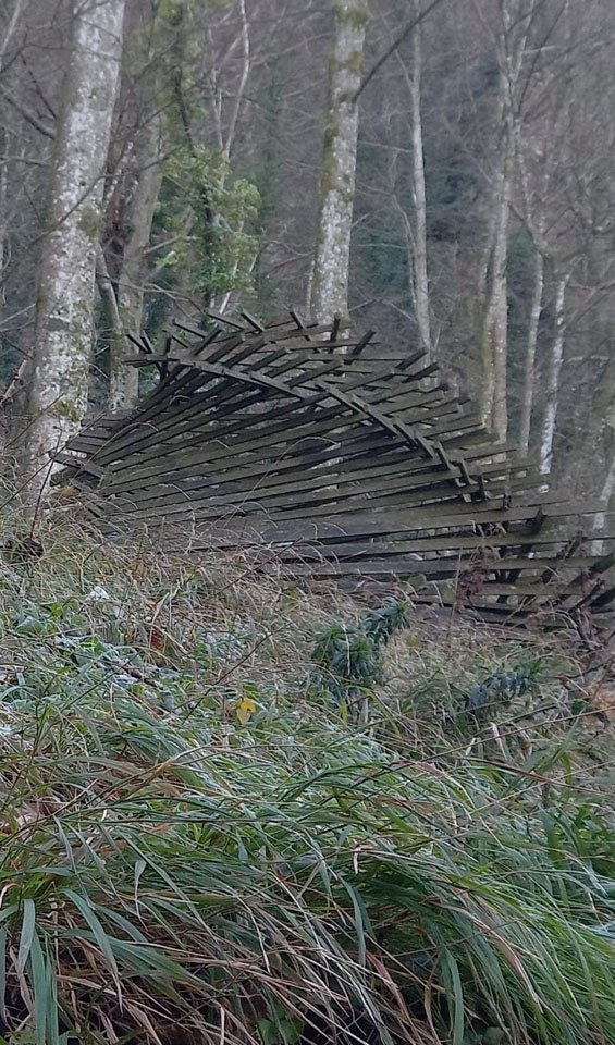 Photo de Vasseur(27)