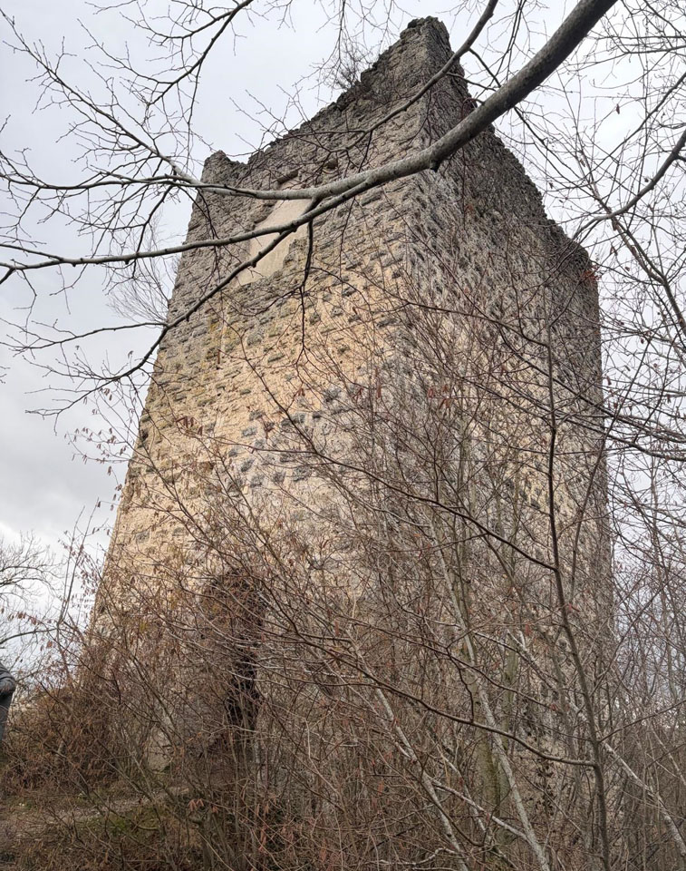 Photo de Vasseur(12)