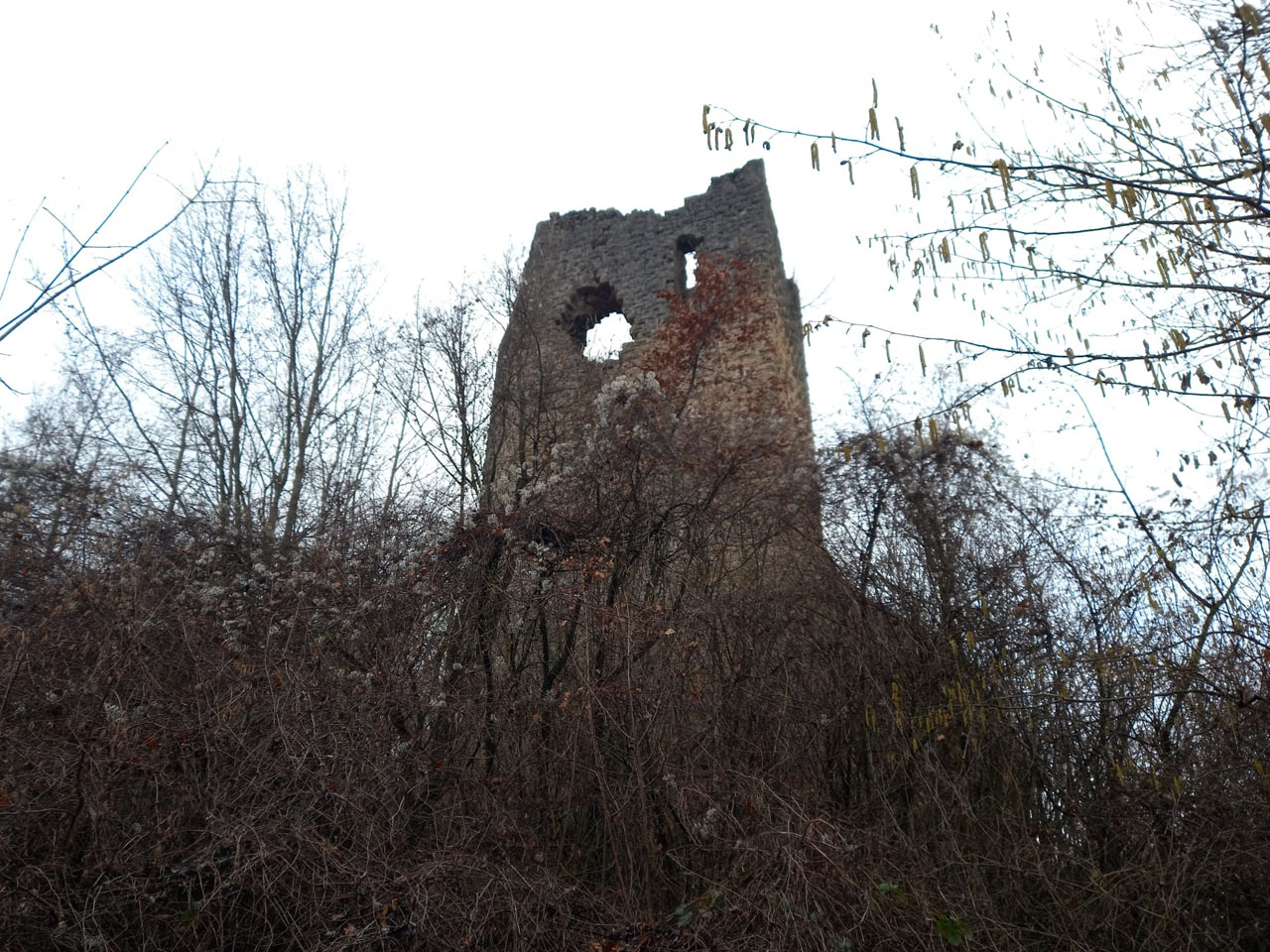 Photo de Vasseur(15)