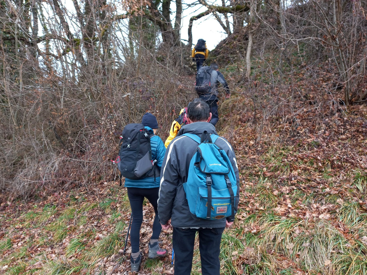 Photo de Vasseur(16)