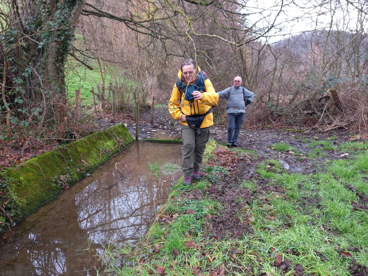 Photo de Vasseur(17)