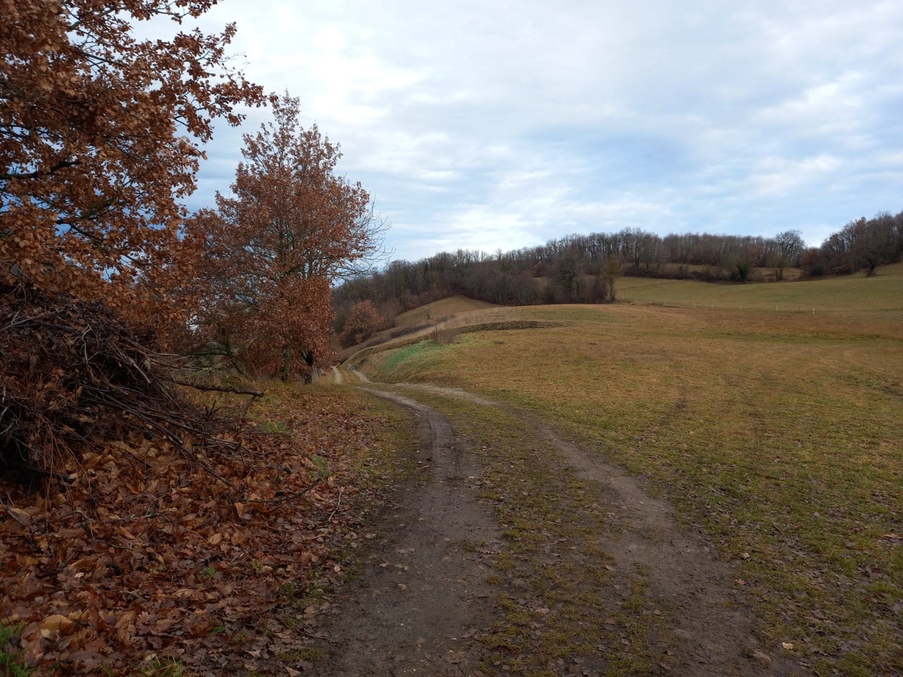 Photo de Vasseur(22)