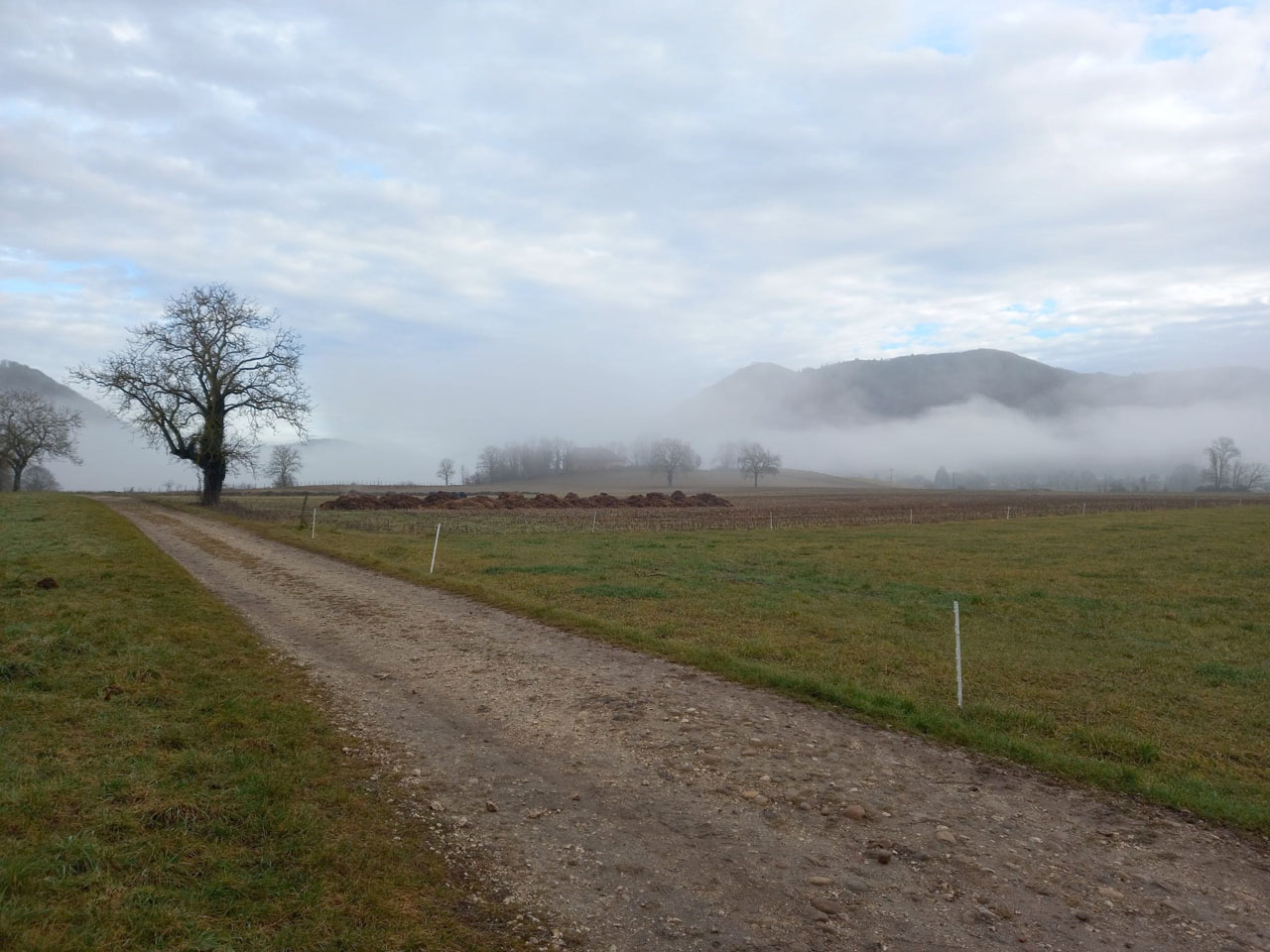 Photo de Vasseur(23)