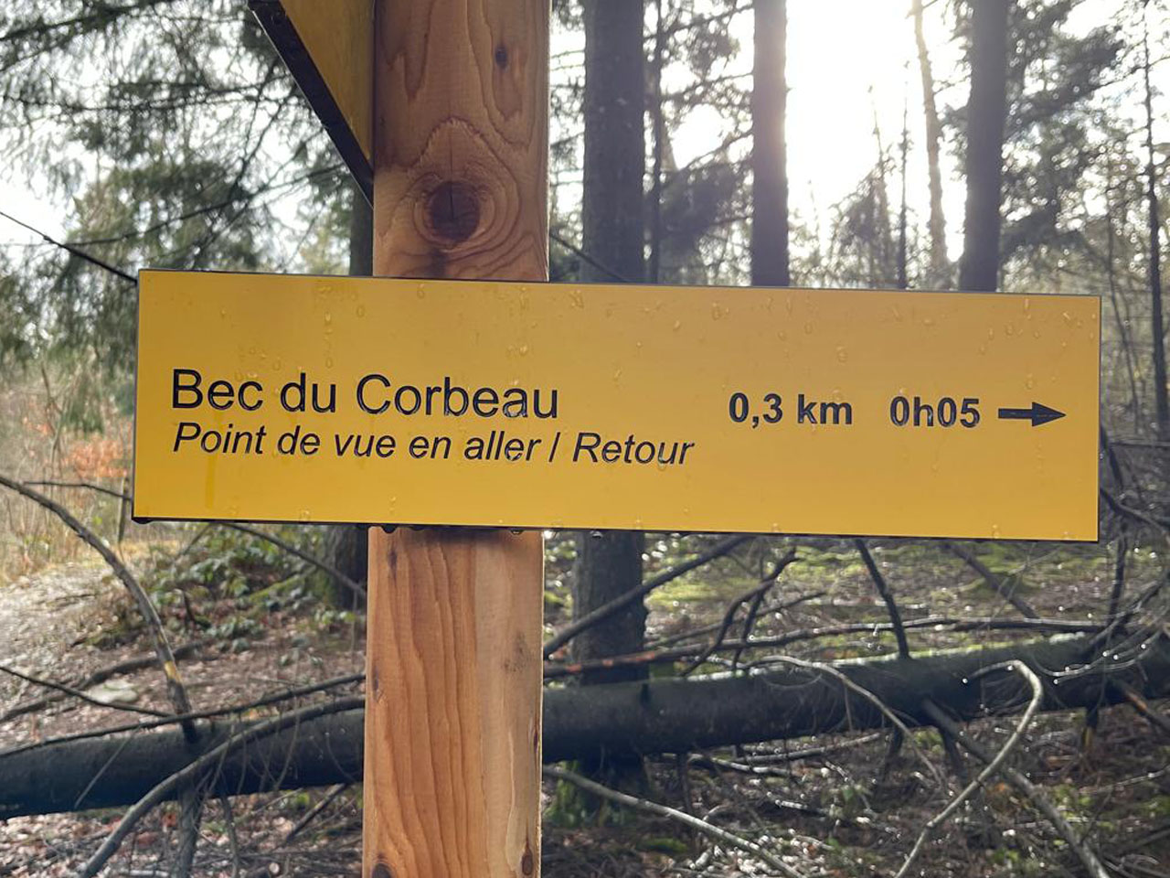 Photo de Vasseur(10)