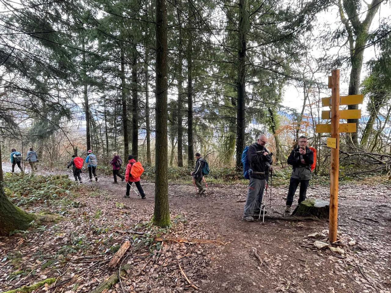 Photo de Vasseur(11)