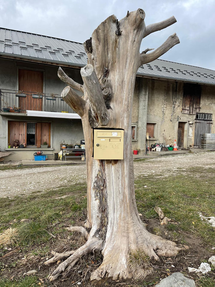 Photo de Vasseur(13)