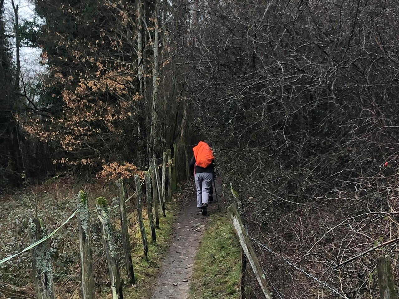 Photo de Vasseur(19)