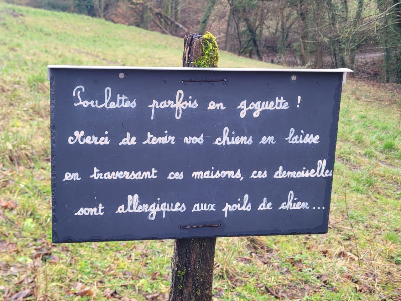 Photo de Vasseur(22)