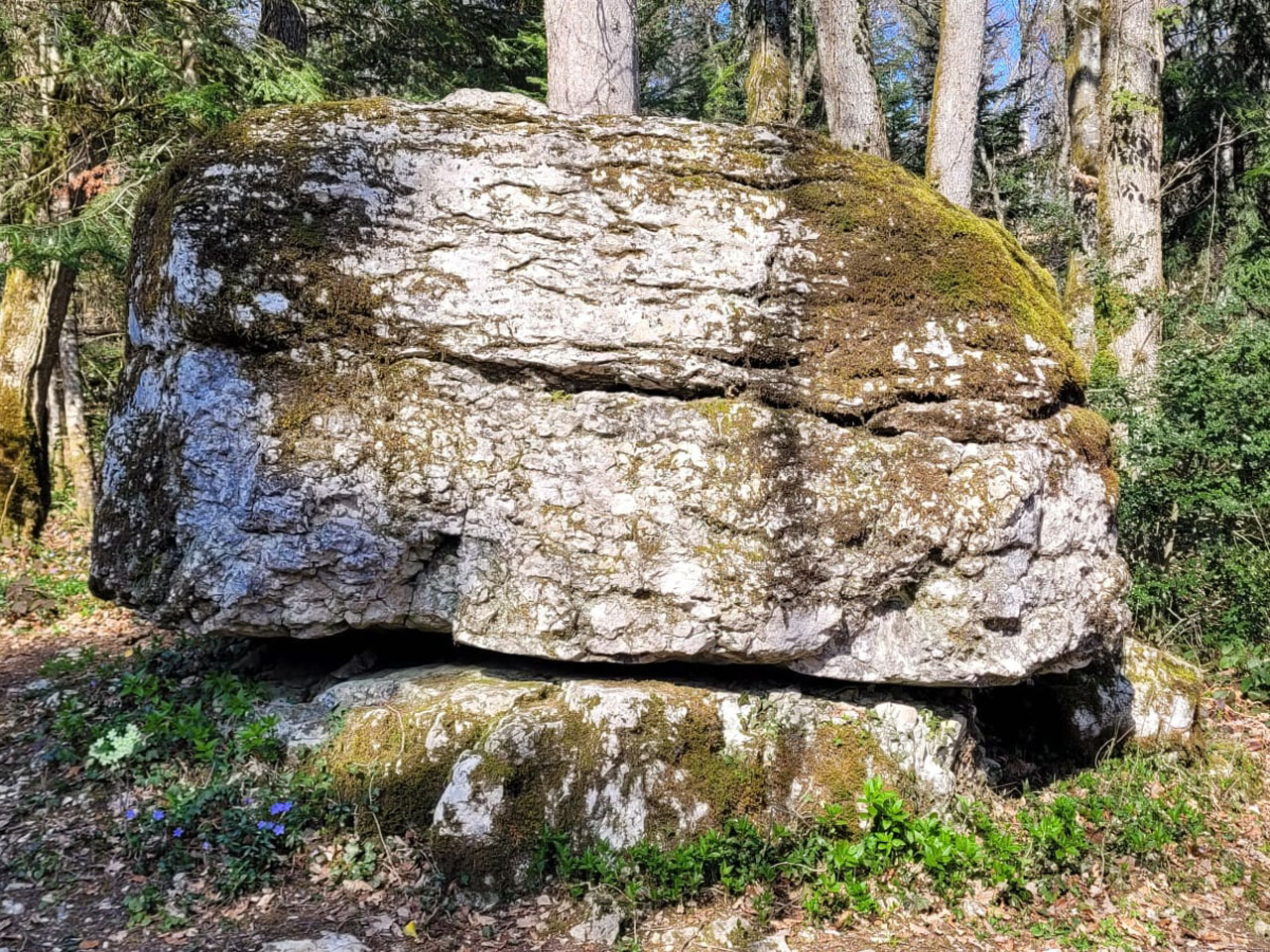 Photo de Vasseur(0)