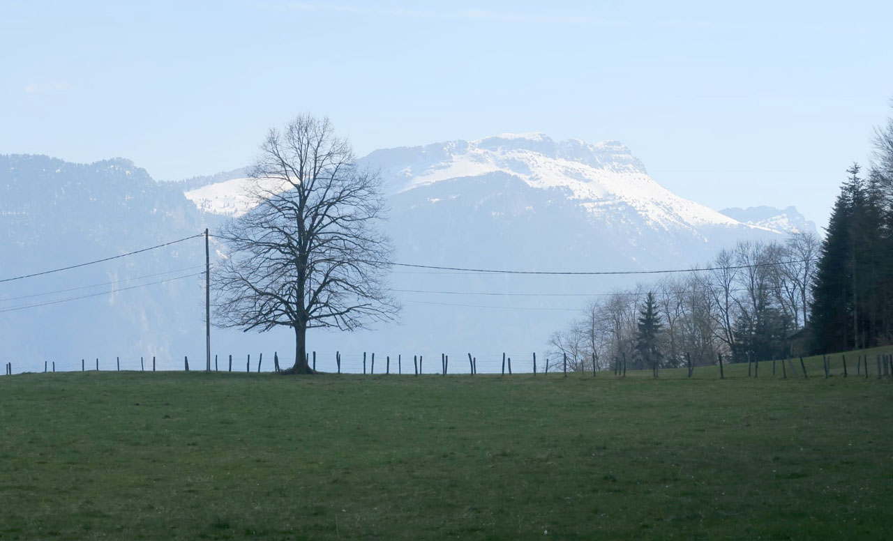 Photo de Vasseur(11)