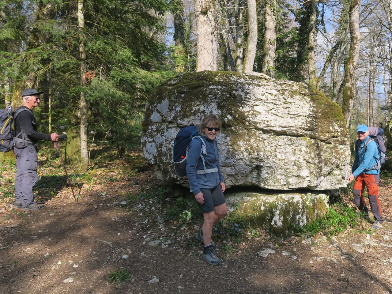 Photo de Vasseur(15)