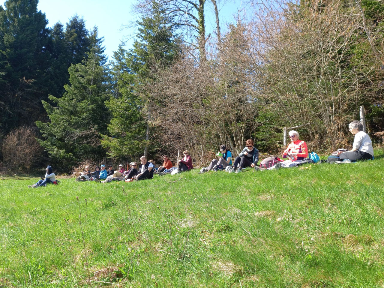 Photo de Vasseur(4)